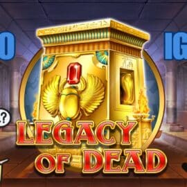 Los mejores juegos, códigos promocionales y bonificaciones de Ontdek Reseña del casino Cazeus